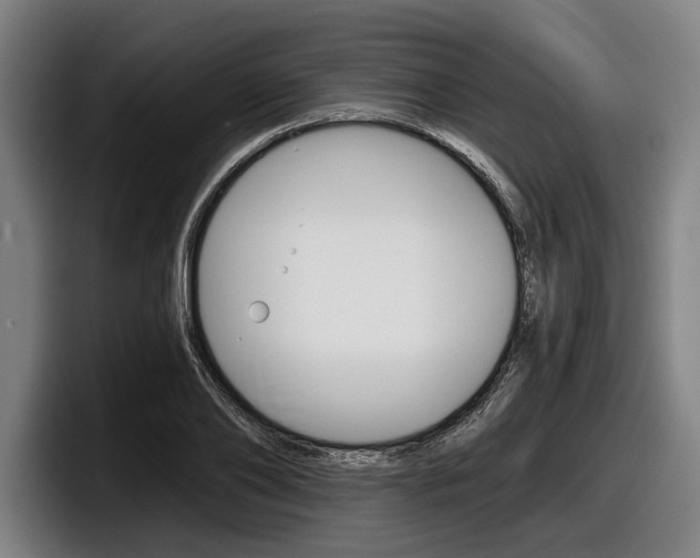 X0000098150886200804171154