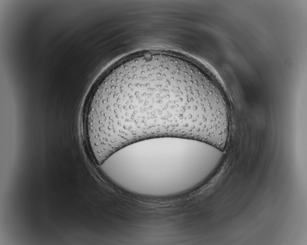 X0000098150887200804171154