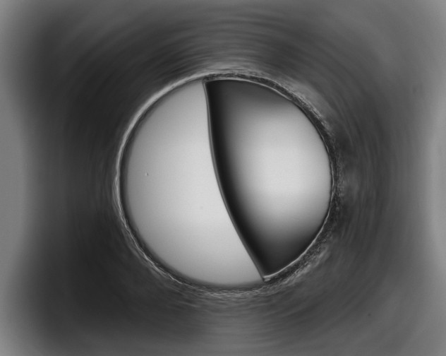 X0000098150888200804171154