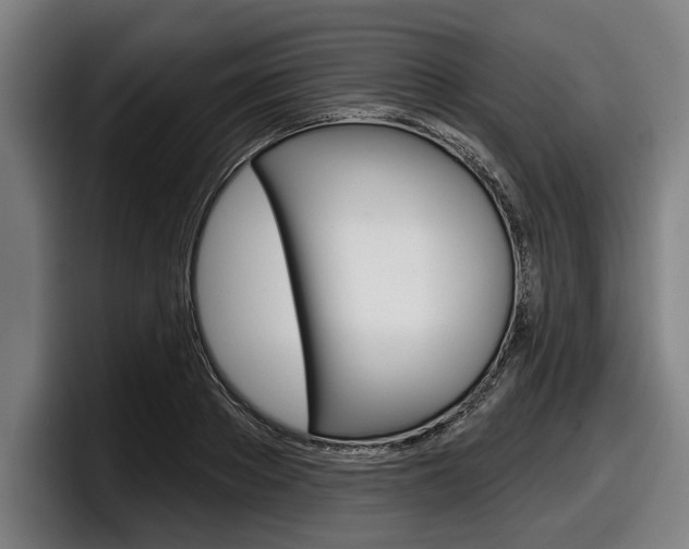 X0000098150889200804171154