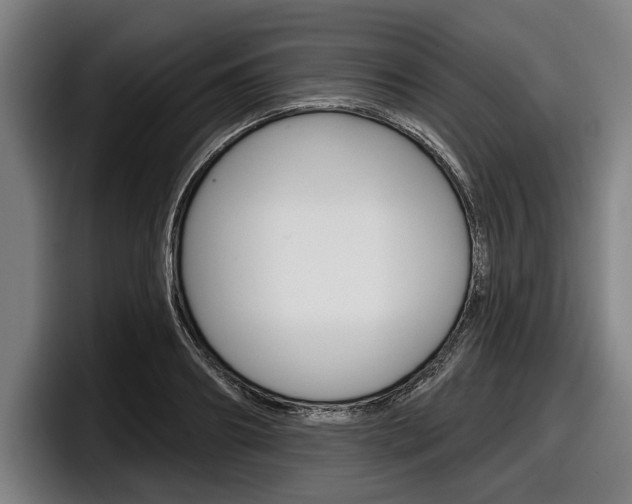 X0000098150890200804171154
