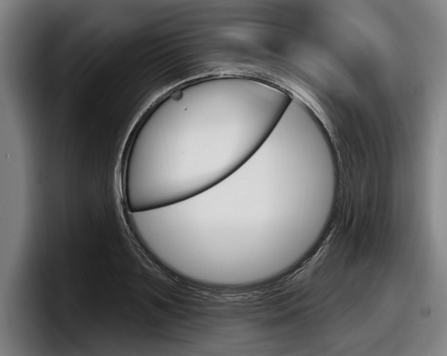 X0000098150891200804171154