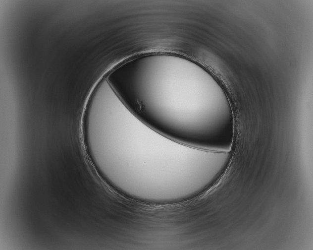 X0000098150892200804171154