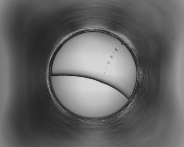 X0000098150895200804171154