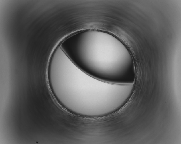 X0000098150896200804171154
