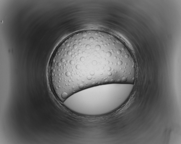 X0000098150899200804171154