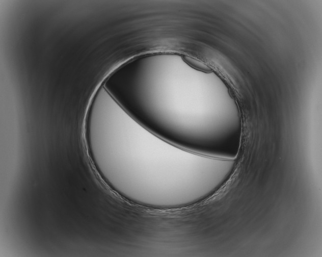 X0000098150900200804171154