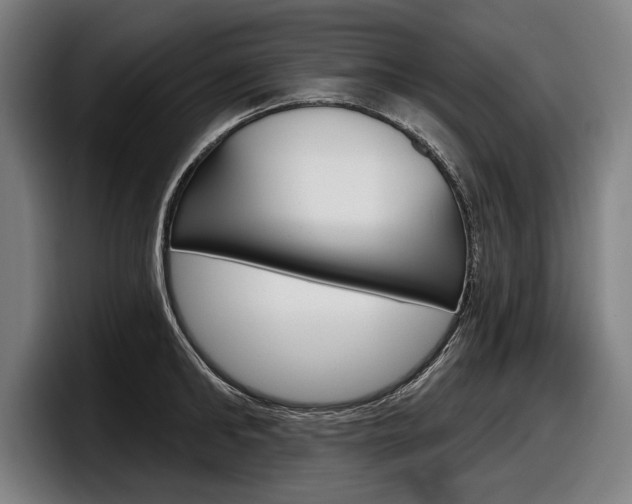 X0000098150902200804171154