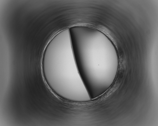X0000098150906200804171154