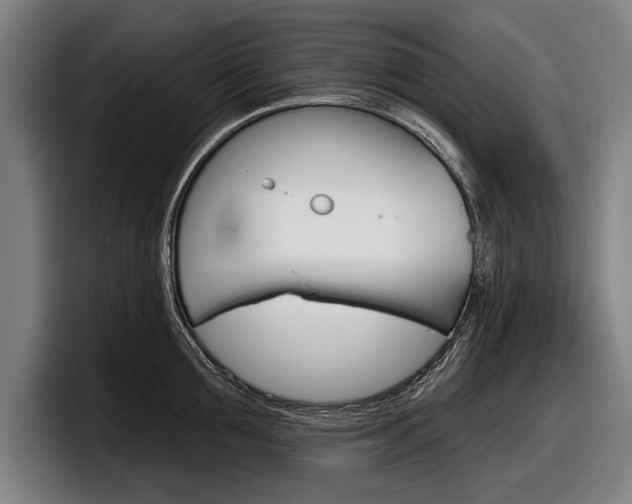 X0000098150907200804171154