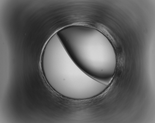 X0000098150908200804171154