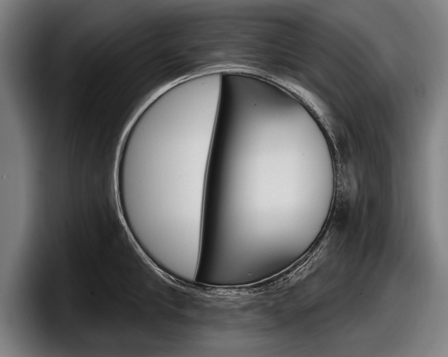 X0000098150910200804171154