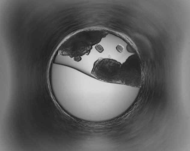 X0000098150911200804171154