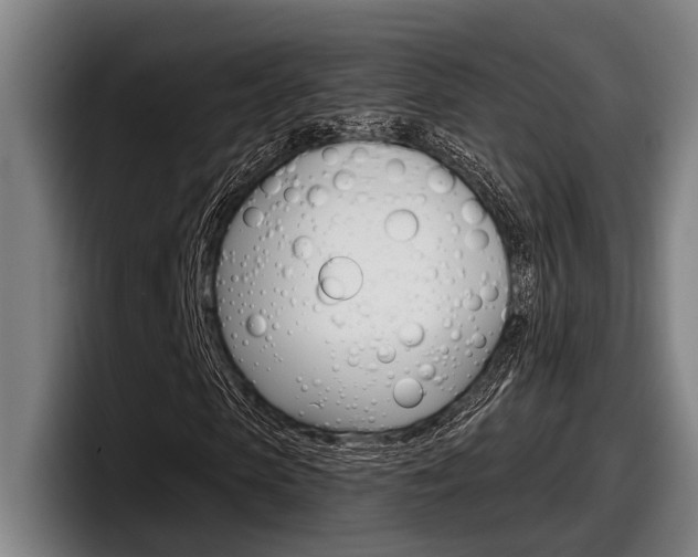 X0000098150913200804171153