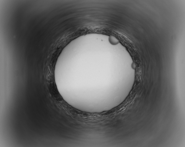 X0000098150917200804171153