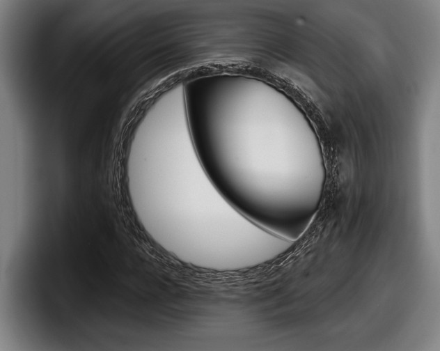 X0000098150920200804171153