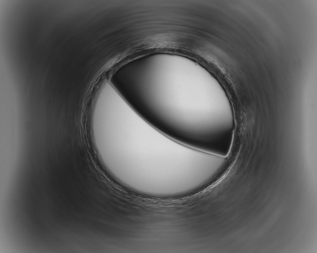 X0000098150922200804171153