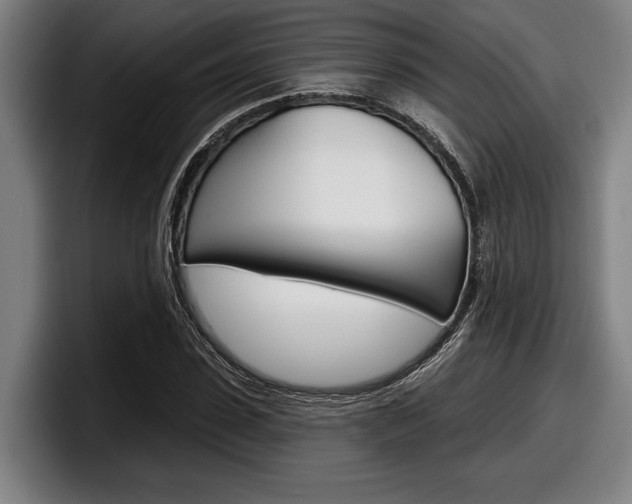 X0000098150923200804171153