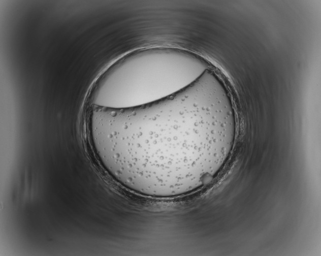 X0000098150925200804171153