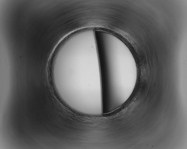X0000098150926200804171153
