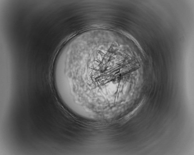 X0000098150930200804171153