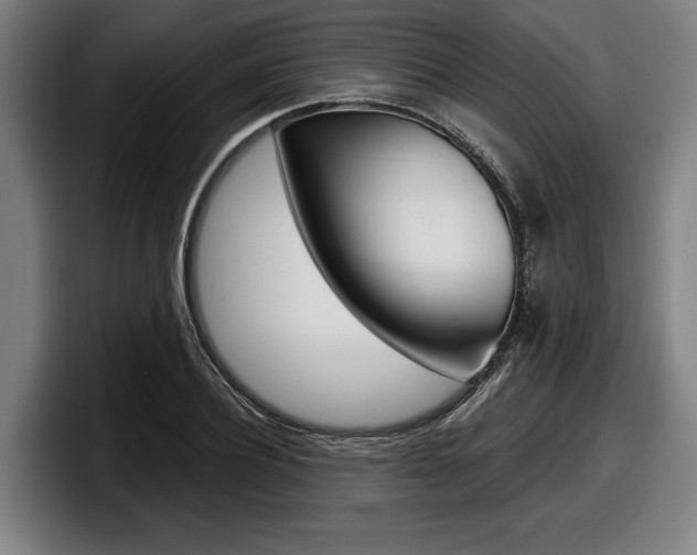 X0000098150932200804171153