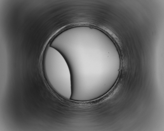X0000098150933200804171153