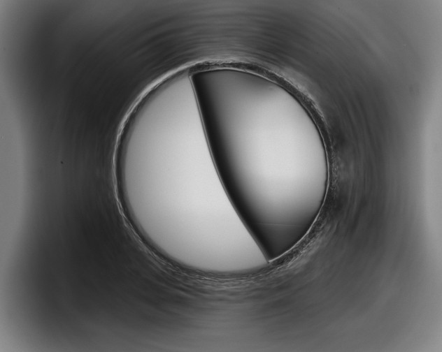 X0000098150935200804171153