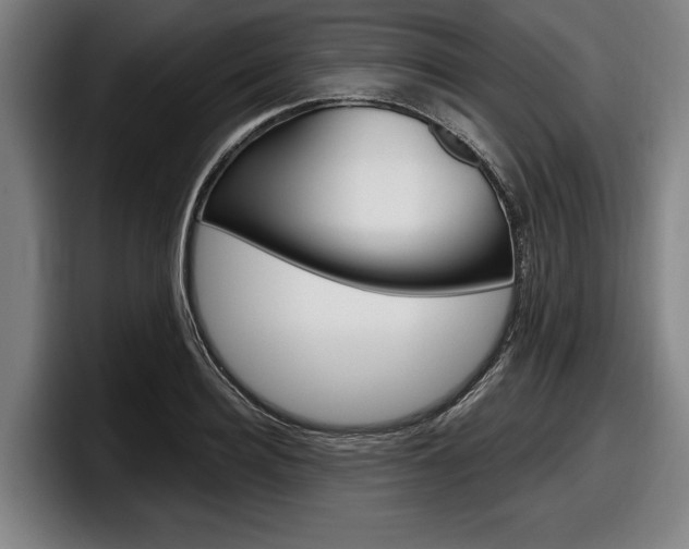 X0000098150940200804171154