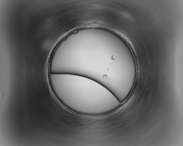 X0000098150941200804171154