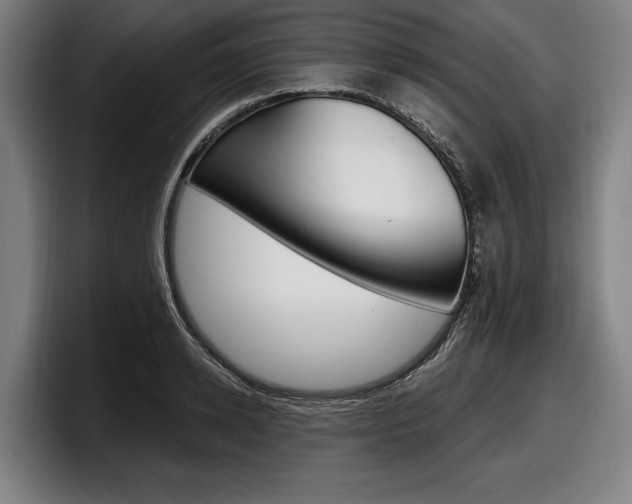 X0000098150942200804171154