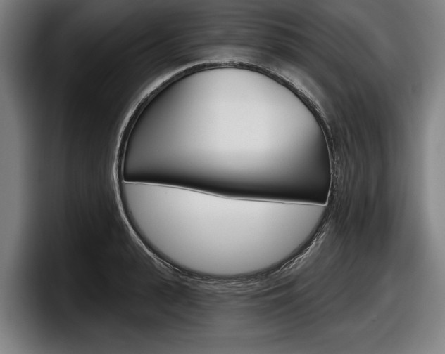 X0000098150943200804171154