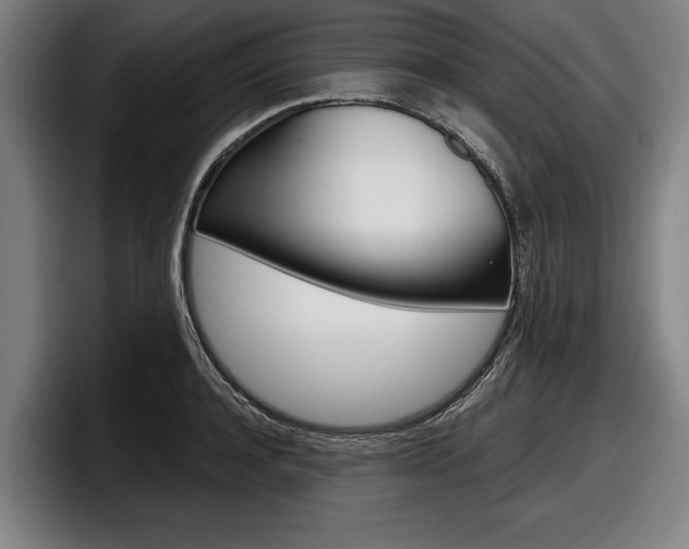 X0000098150944200804171154
