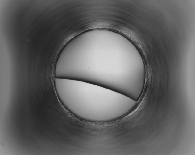 X0000098150945200804171154