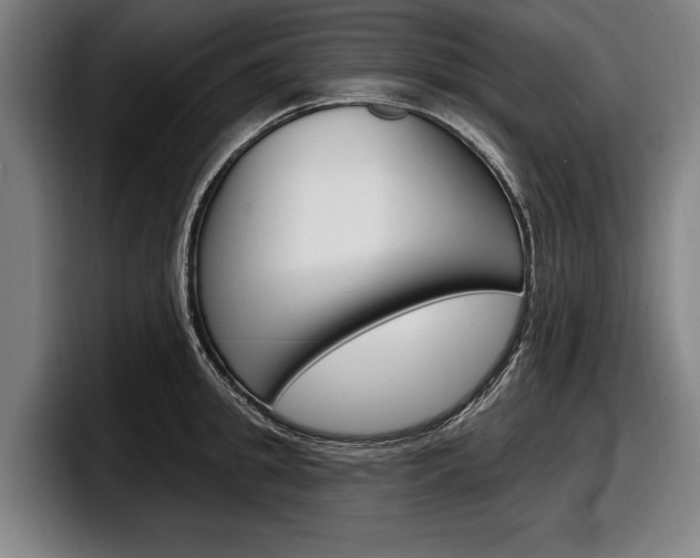 X0000098150949200804171154