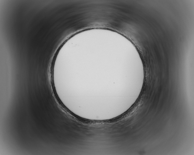 X0000098150950200804171154
