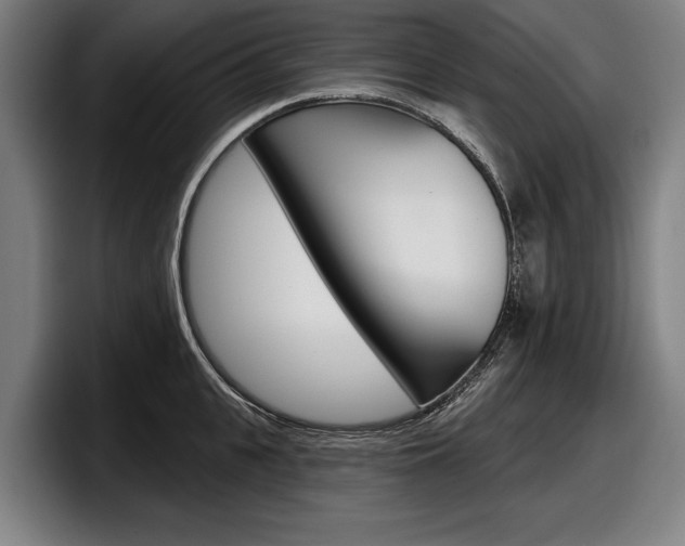 X0000098150951200804171154