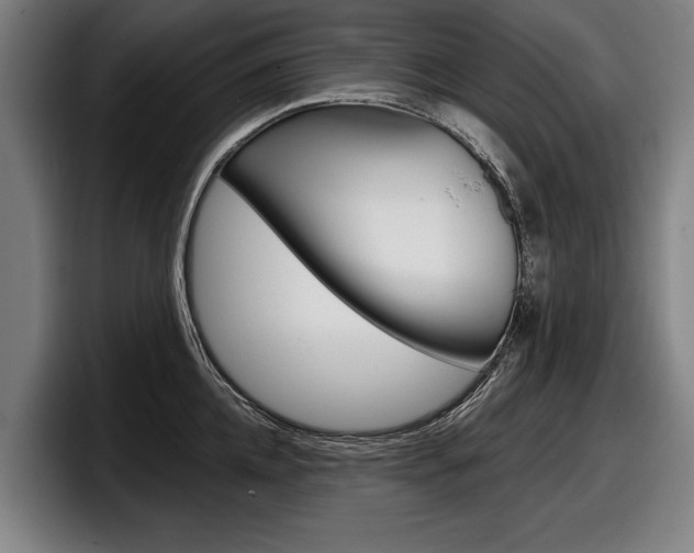 X0000098150952200804171154