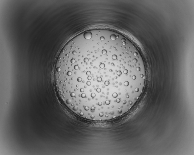 X0000098150953200804171154
