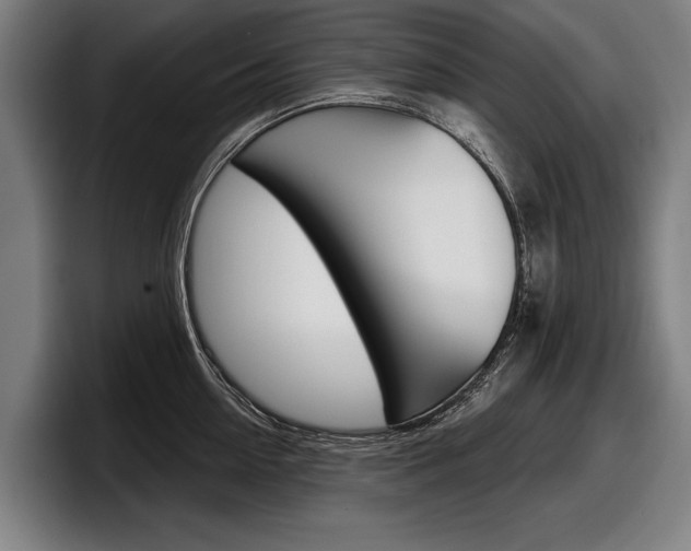 X0000098150954200804171154
