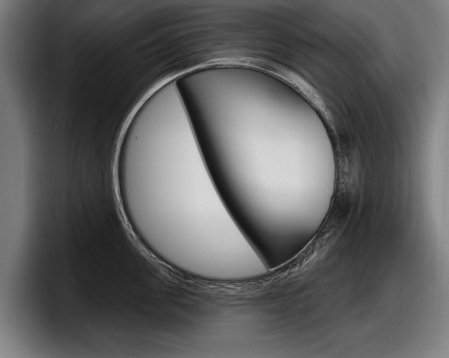 X0000098150955200804171154