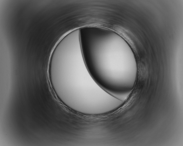 X0000098150956200804171154