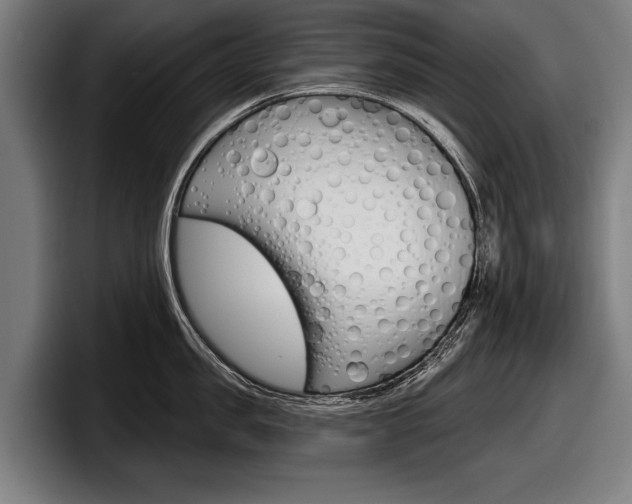 X0000098150957200804171154