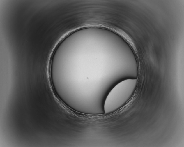 X0000098150958200804171154