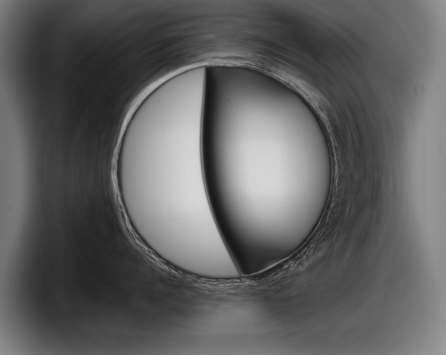 X0000098150960200804171154