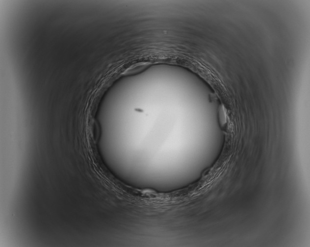 X0000098150961200804171153