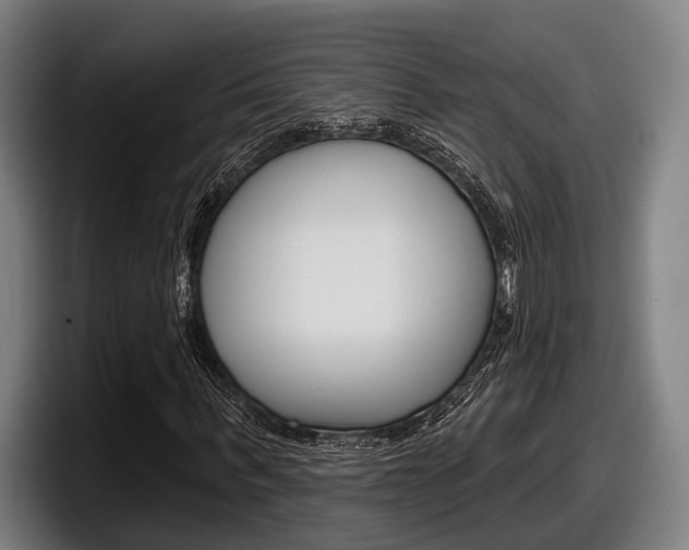 X0000098150963200804171153