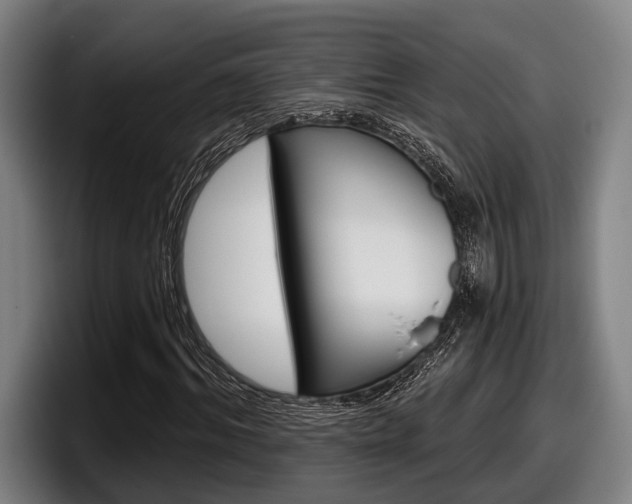 X0000098150964200804171153