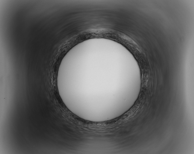 X0000098150966200804171153