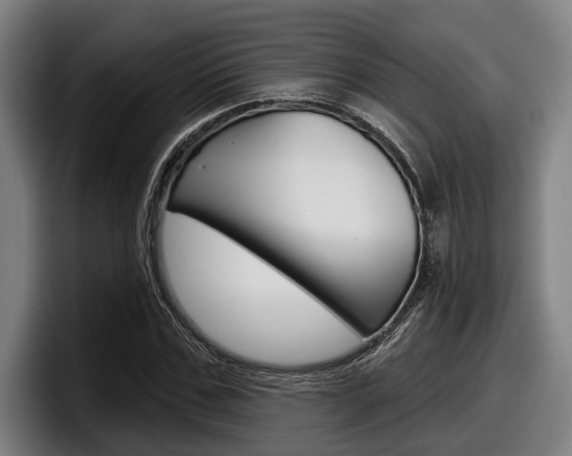 X0000098150971200804171153